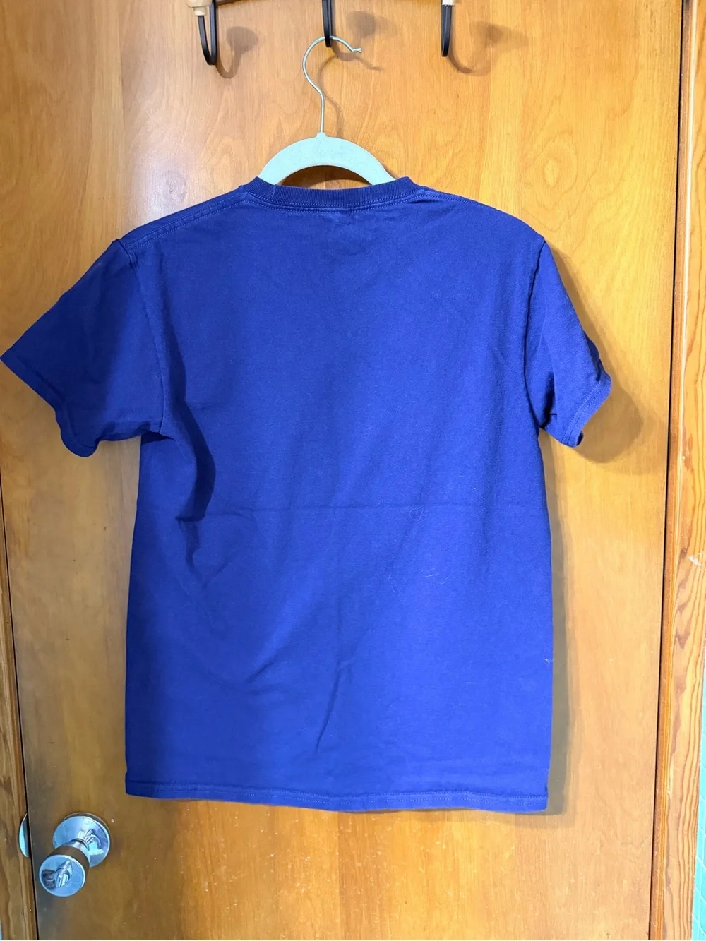 Vintage Michigan Graphic Short Sleeve Tee